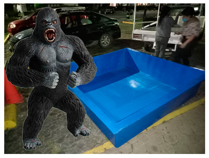 modelo king kong en chapoteaderos de fibra de vidrio